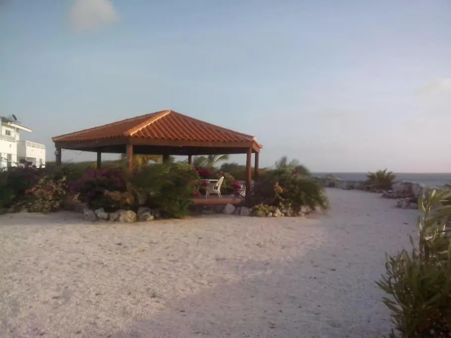 Studio Marazul Westpunt Curacao